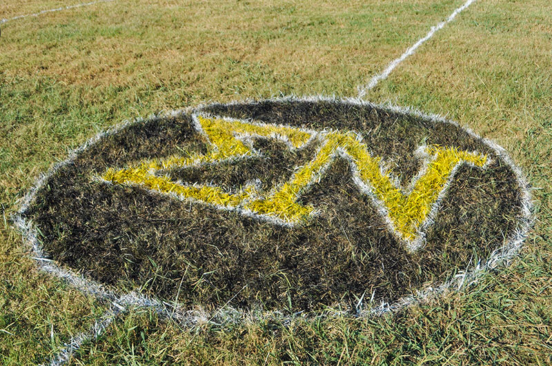 2019 Sigma Nu UTKSnake Daze Held for Camp Koinonia img-04